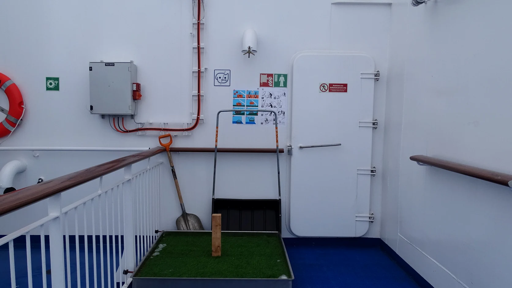 Instalaciones específicas para mascotas a bordo del Aurora Botnia